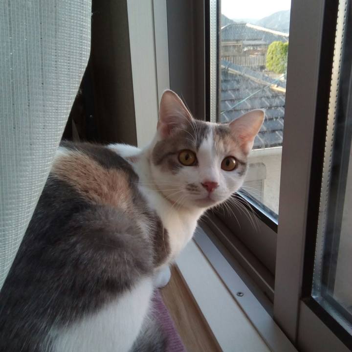 216c065d 024b 4a0d 901c d579ca7e7b92