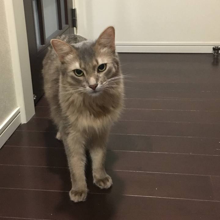 216c9496 d372 4901 86a4 2f4c850f90fc