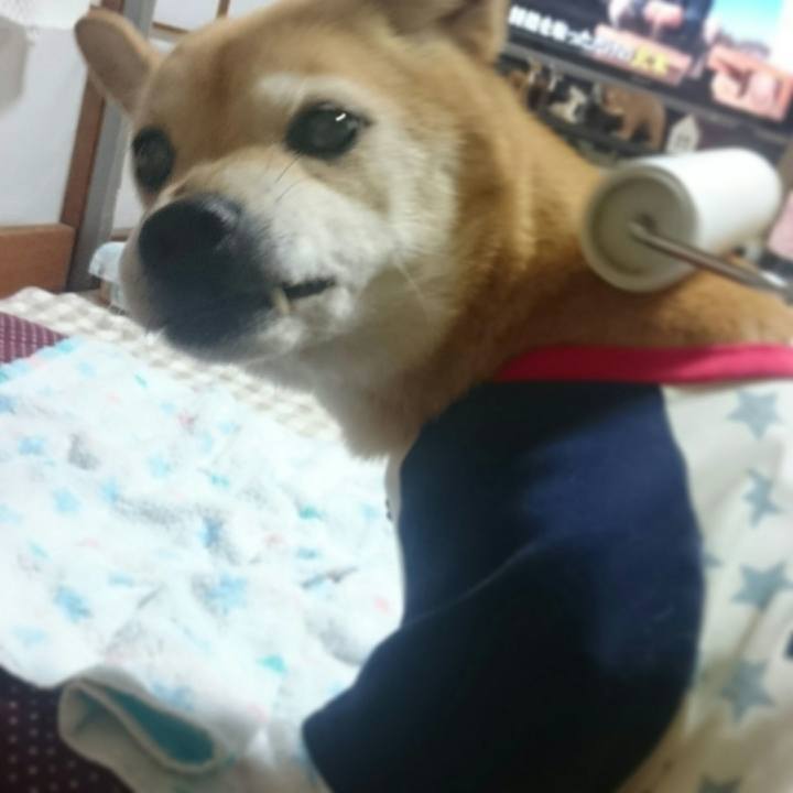 216ccc27 962c 4fdf 8db8 0be0f61fbb51