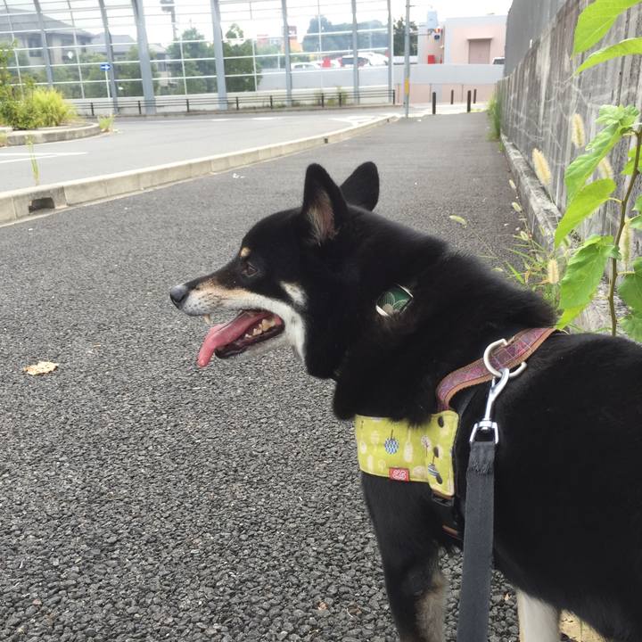 216d477f 965c 41de bf5f 578d1a5a9eae