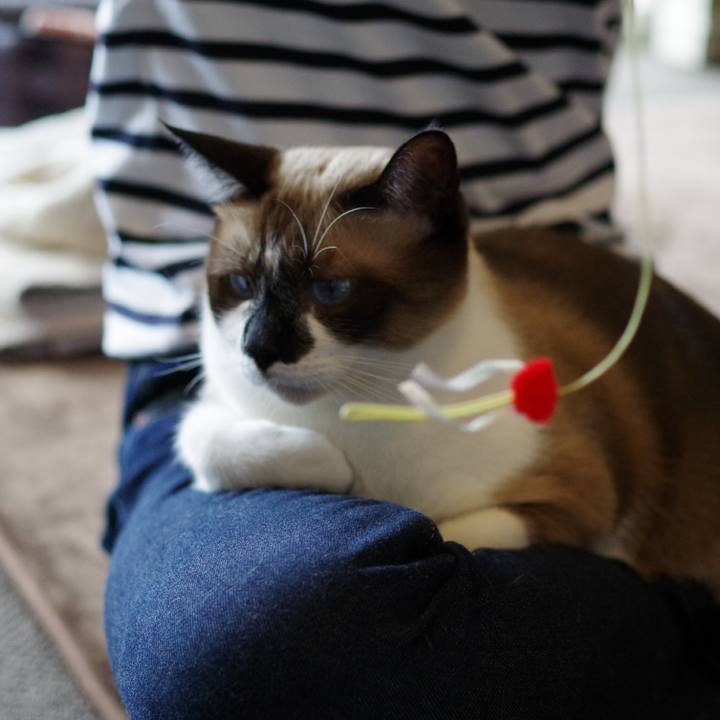 216daa5d a222 4213 a688 4b08563b5e76