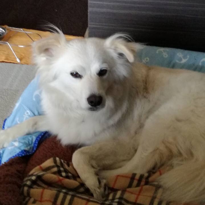 216e59a2 e482 48d7 b1bd ba631b17aea3