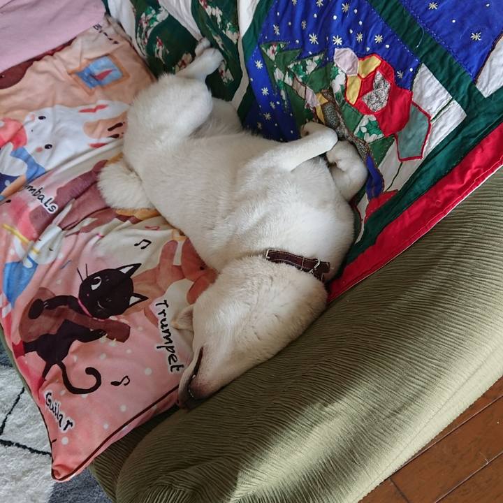 216ea16a 640e 495d bb30 fed7028508bb