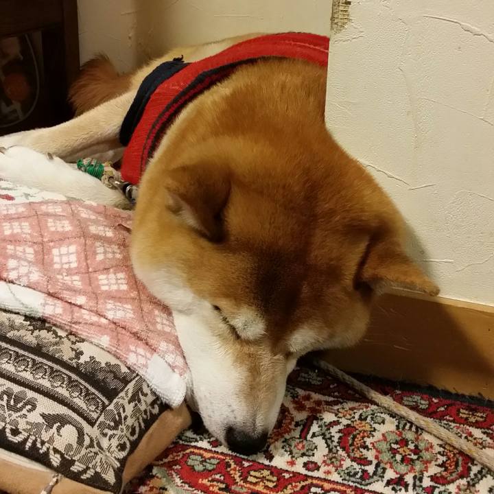 216ef6a2 65e2 463e 9f5e c2b32f26706c