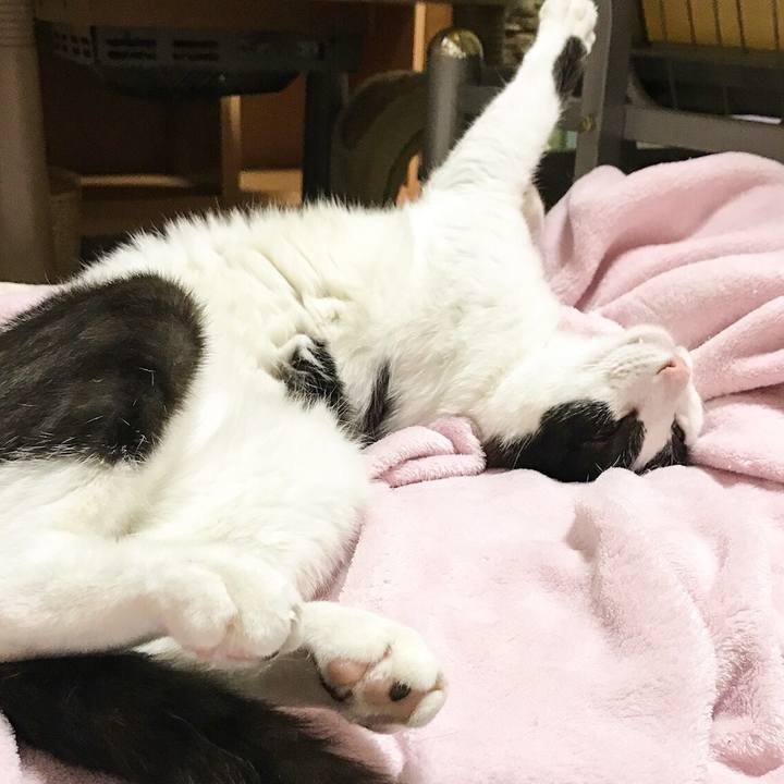 216efc15 2921 44f8 a82b 7840f13b868a