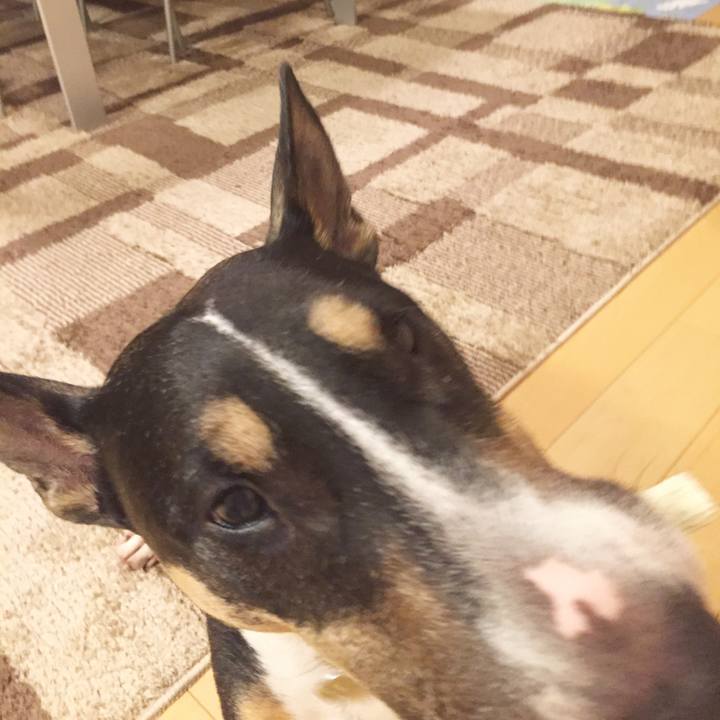 216f3834 4456 491a b68f ffc3603a2390