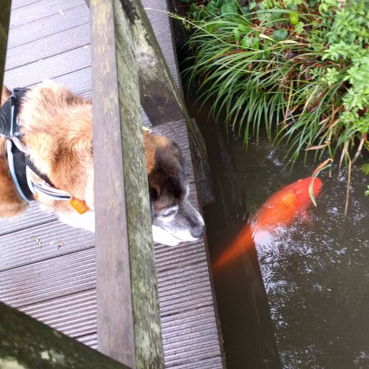 216fc68f 4ab6 43d8 a5f1 85c2532dc0f9