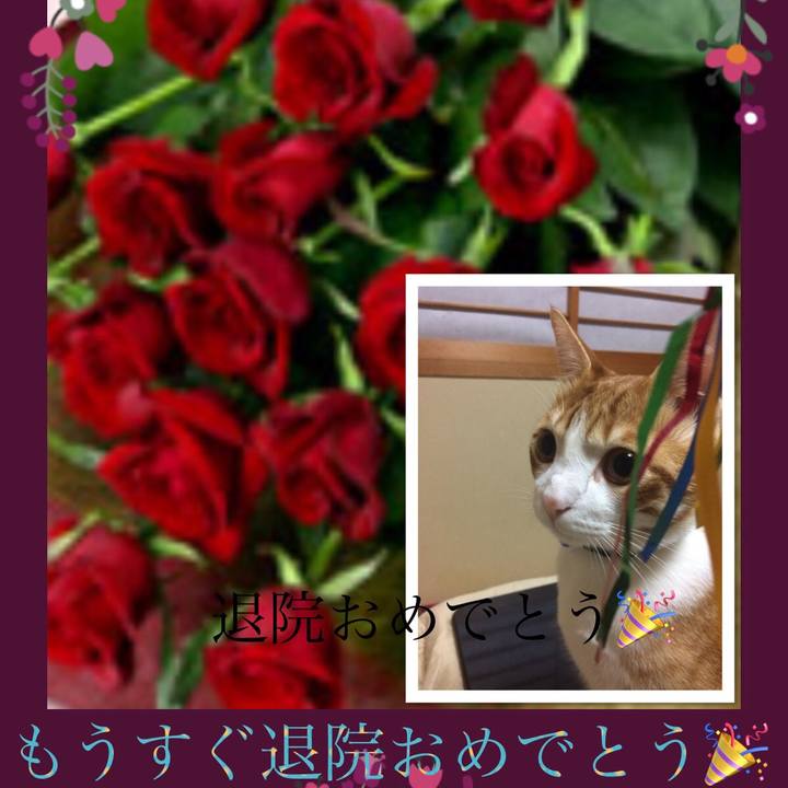 2170a467 0e6b 402c 8800 5cc1d3531c5c