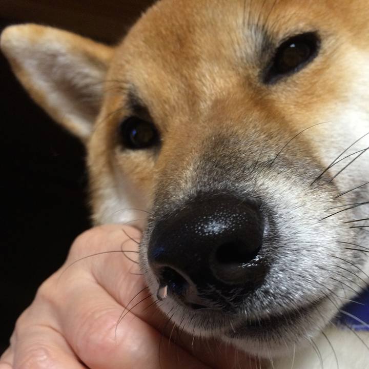 21719863 0194 46ef 868d 11f9c103e9ce