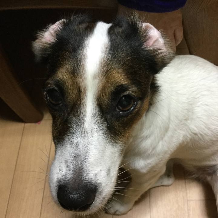 2172cf35 6ef5 4bec 8640 28f113c0e141