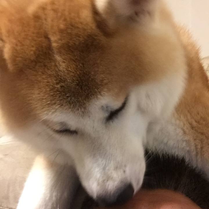 217330bd c2c9 4271 ad1f 4d3c1203cc60