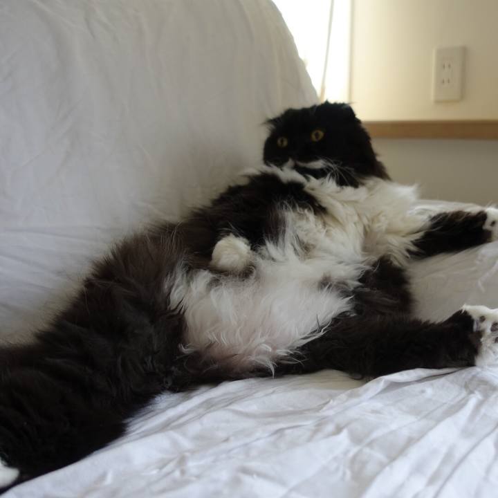 21737112 982a 4365 8d0d 4748f687b5ca