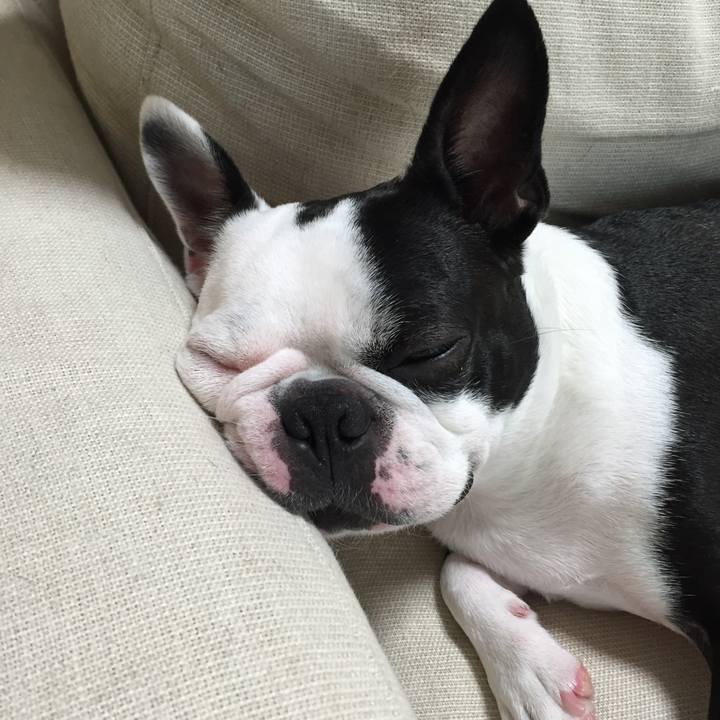 2173f766 6e24 47d8 be8a d3ada6c99148