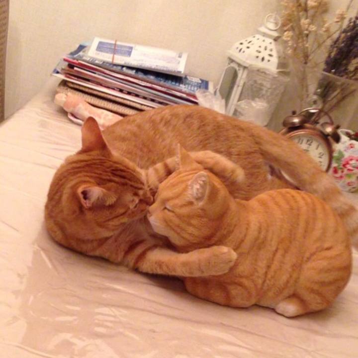 217445cf ac04 4cc4 81d1 43383593fb1a