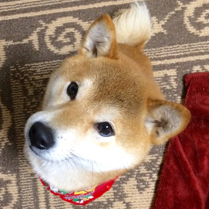 21753607 0640 4d86 997c 30485e8f4ed0