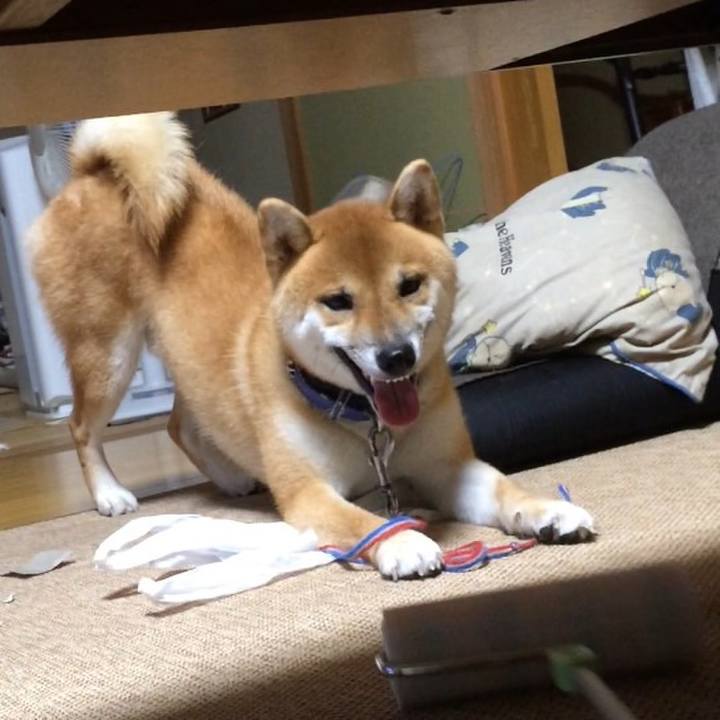 21758ce6 1d24 4c3f a167 b194e7b07d4e