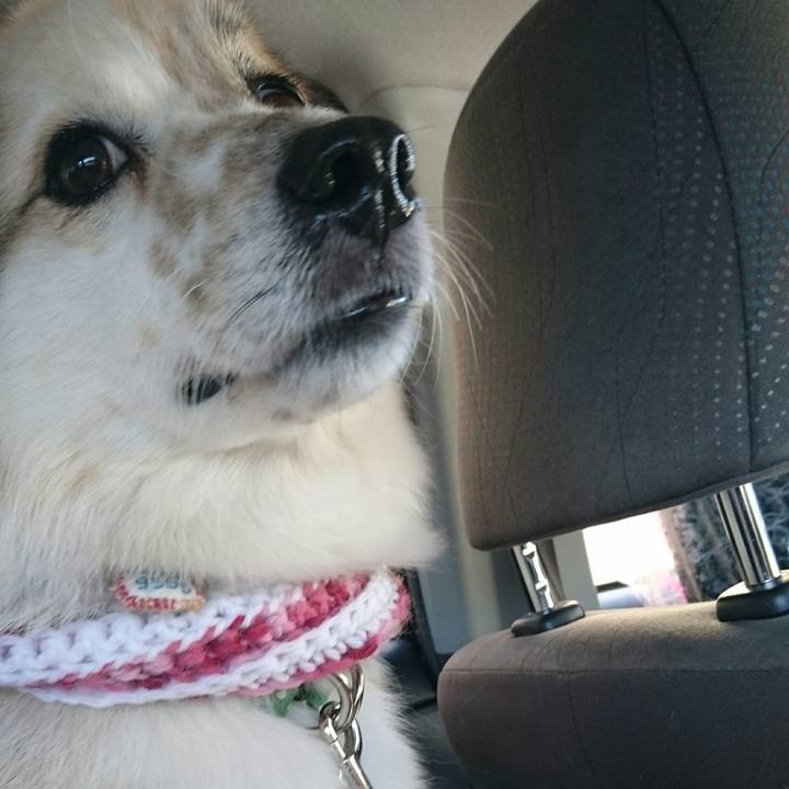 2175be8b 060f 4401 81ab 6a2fab66af02