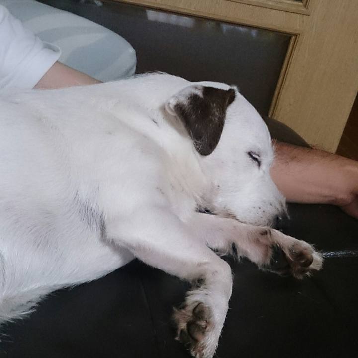 2175e39d dca9 44a6 843e e8cc8111c2ad