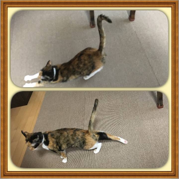 21764b7f cf0e 408e 9c3e 633d6e99222f