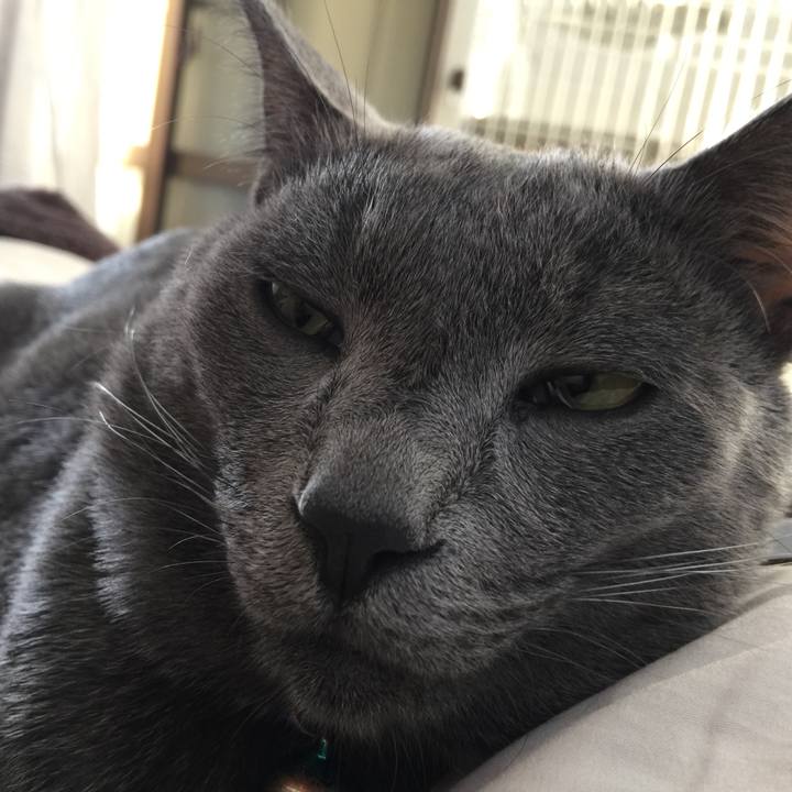 2176c078 d015 4587 82bf 181d3fb943df