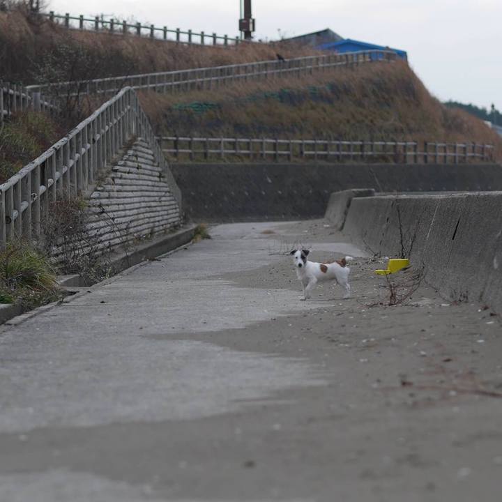 2176e535 89f1 4ae2 81b3 5f397dcf0202