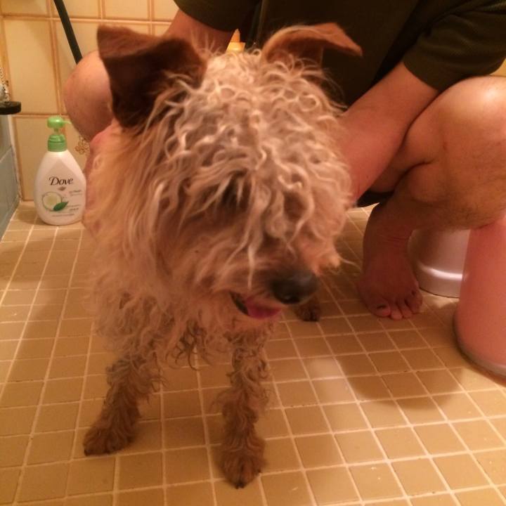 2177119a ffa3 4ff3 9e49 163f7914342b