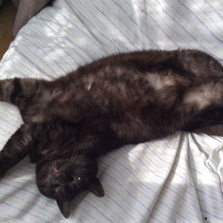 21771274 b573 4fc9 b050 ff03c6ccf6b9