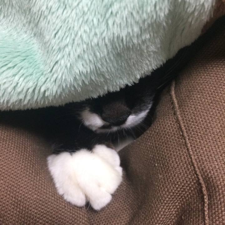 2178661f 3918 4d37 a4c4 1cca414df533