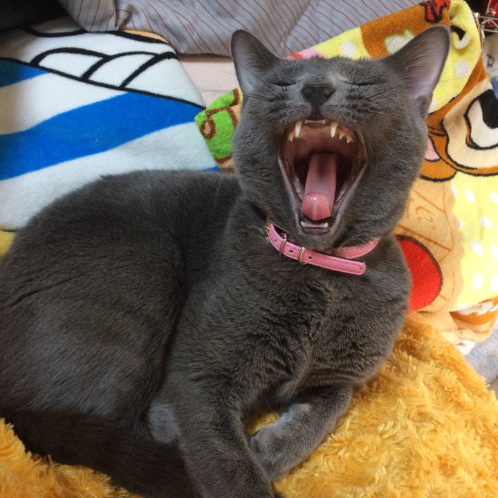 2178b510 02ed 494f b30d 5ad35de0bc8b