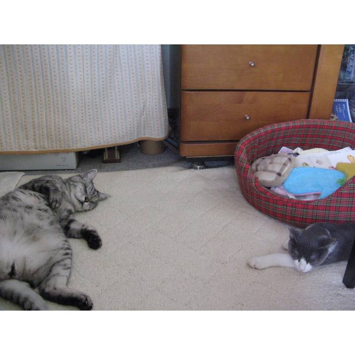 2178cd58 8be1 47e1 a517 d4a390734f22