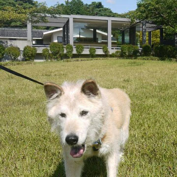 21797745 315c 4442 bee5 dade73c61602