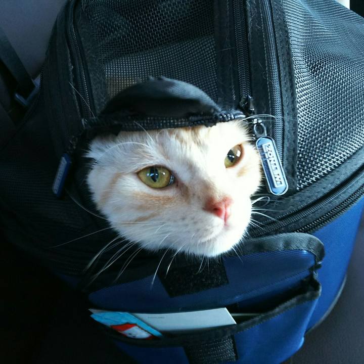 2179c45b 8ada 4110 ab74 6d26ca092e13