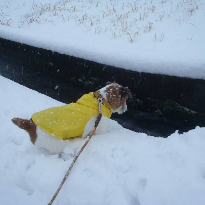 2179e352 b1cd 4f30 b6de 906ef646417a