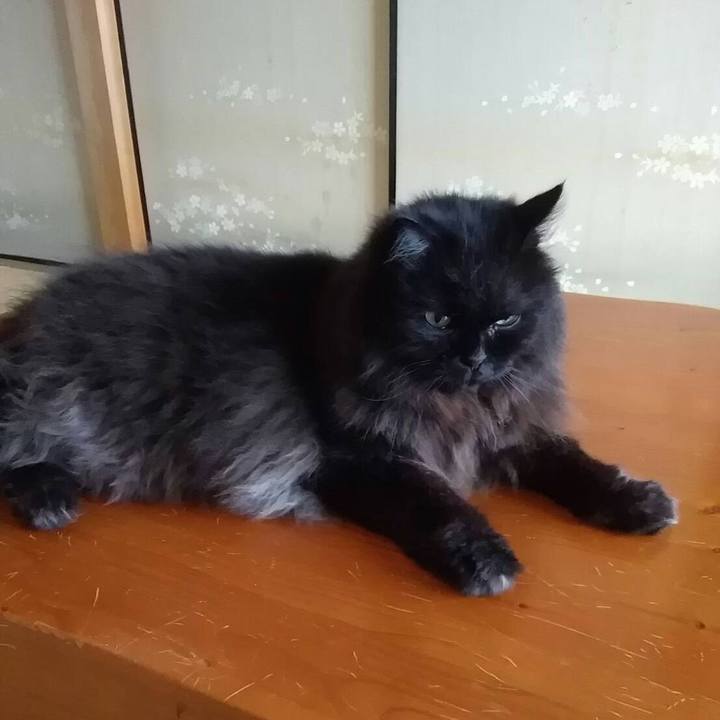 217a4aa4 b5a6 4dbc 8d14 38bf413ce3ba