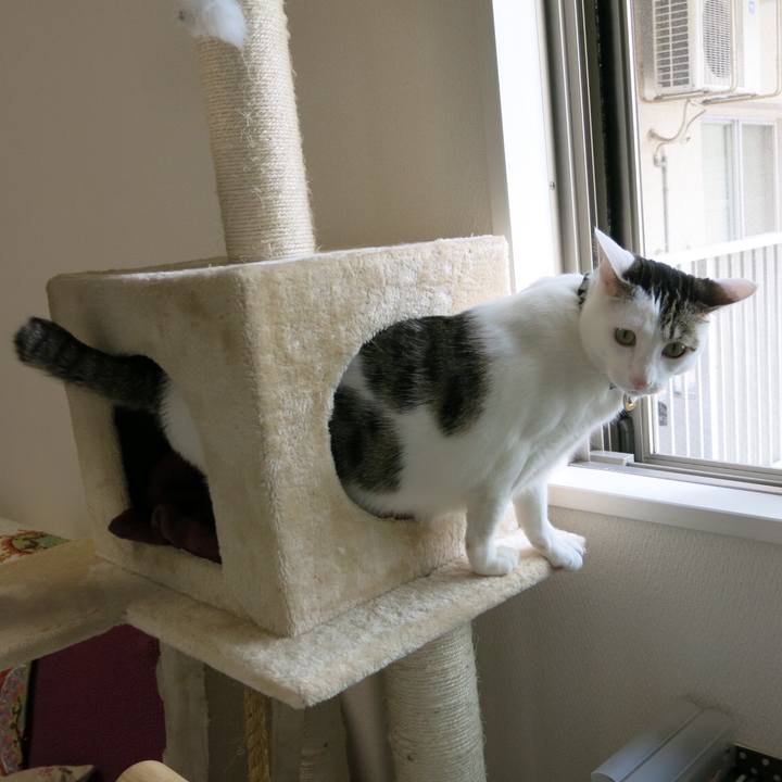 217a7912 40b7 4644 8a4f fa9384dda84c