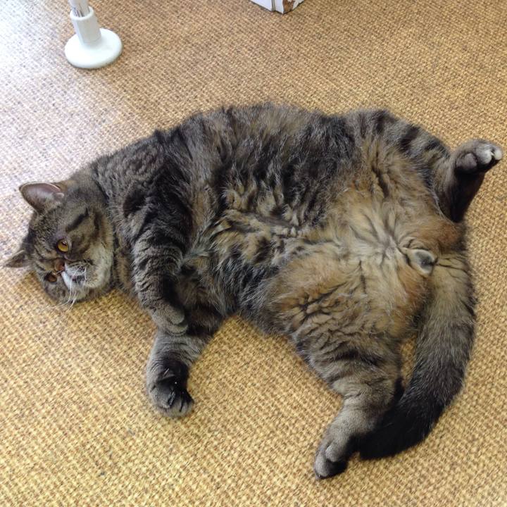 217b4f1c 080f 4cbb 9cfa 9bea8e50ebd5