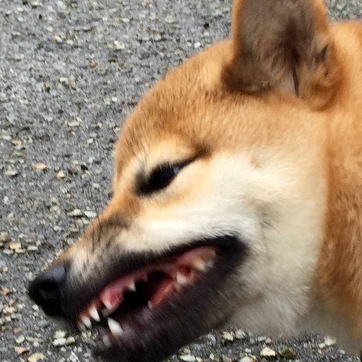 217b690e fe8a 4d18 afed baaeae20c51e