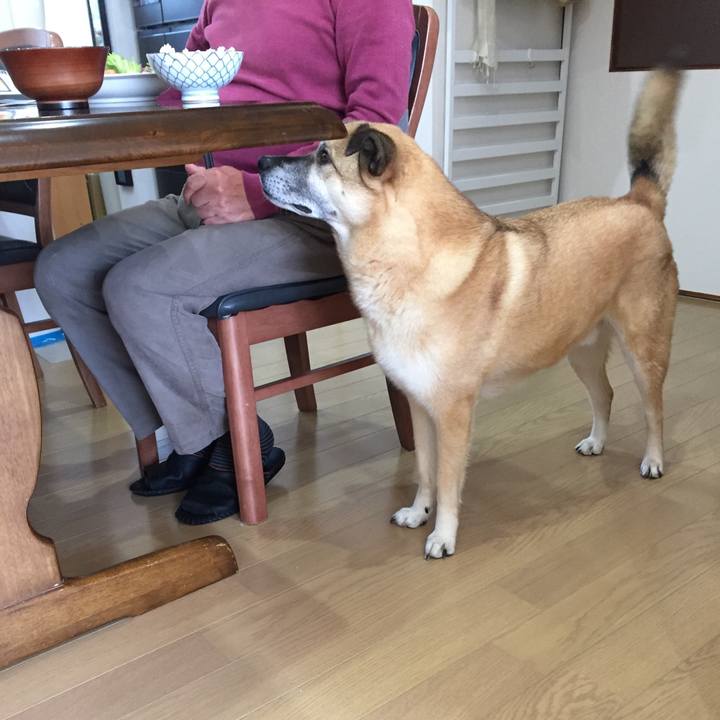 217bd059 f773 4ad9 96e8 b70bfc85e58b