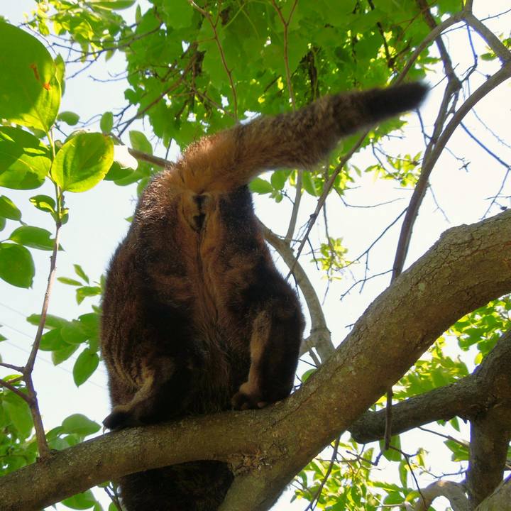 217c1b7b 989f 4178 917f 39b121d477b1