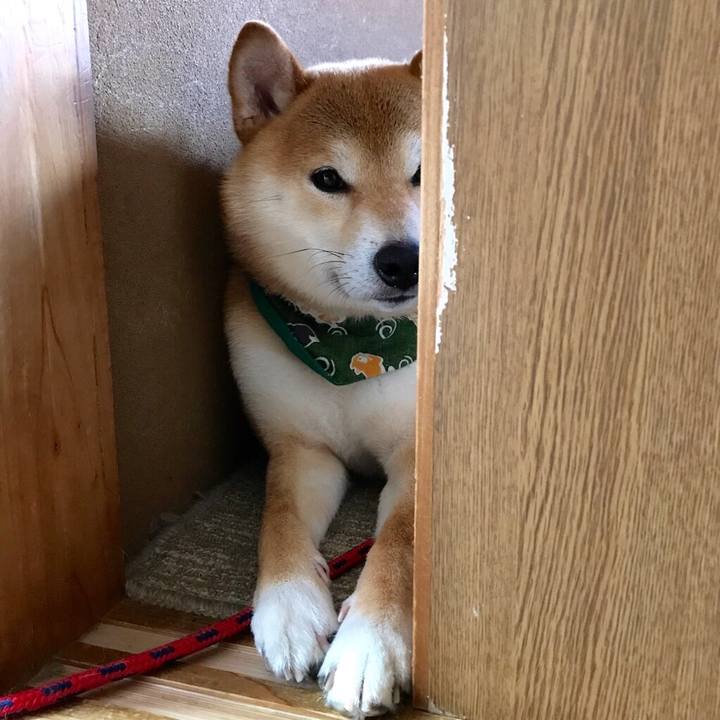 217cbb20 3a56 4801 aed8 aa5bd842c209