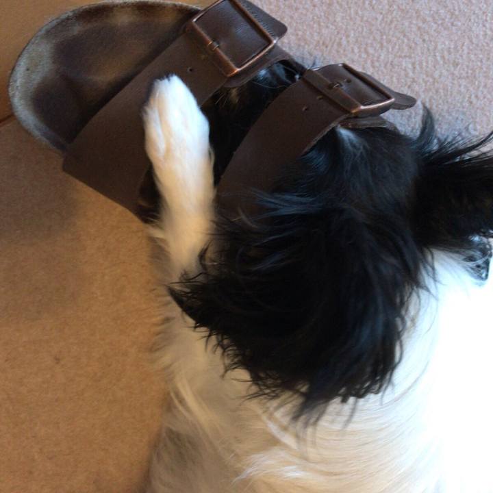 217ce513 82e4 4210 bd3d 4090d3ef27d9