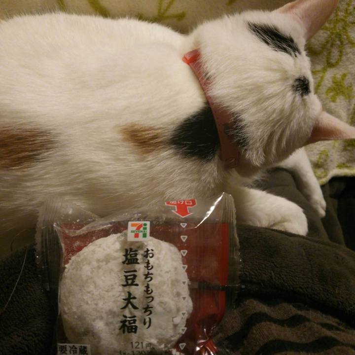 217cee5f cdf2 410f 961f a960a8884e22