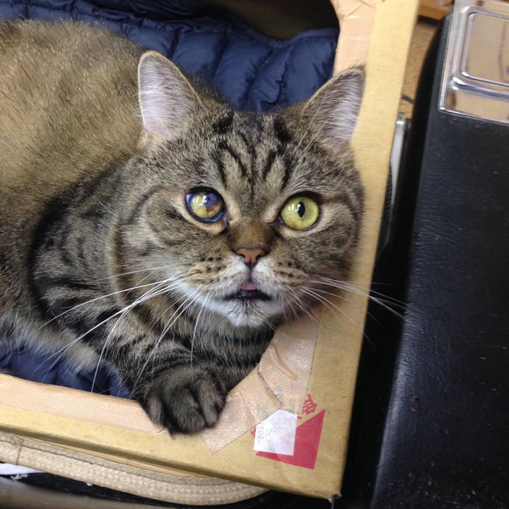 217cfc68 d8e4 498a 8e3e b143418d6526