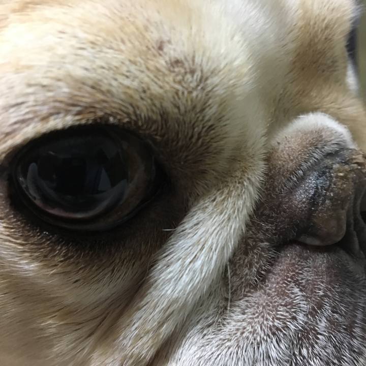 217e0110 9a80 435a 8787 d84fbc70124d