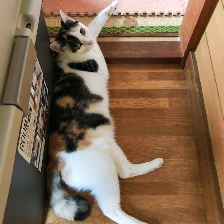 217e688f 407c 47d5 901b d46a087de8ed