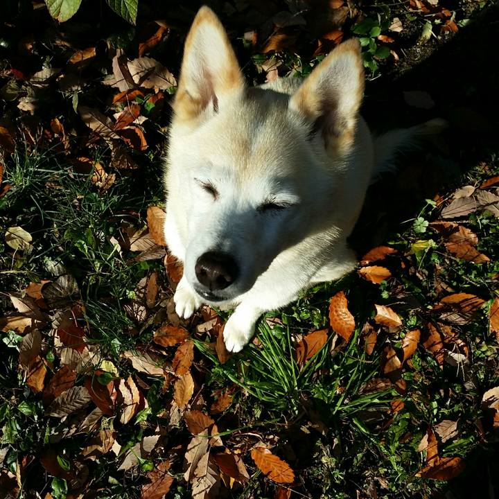 217e75a6 f625 4b2f 90a9 a23c662538fa