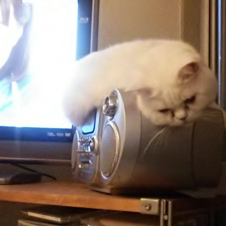 217fd964 f841 45ee a2bf df8b09e22a5c