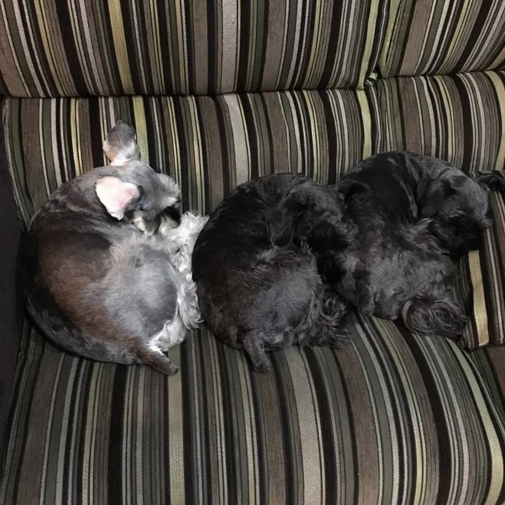 21804842 60e4 4381 9fa6 e0a2e0ebf420