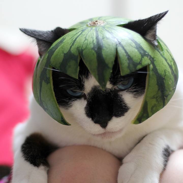 21809cd6 adfd 4ba3 83dd ccd4a4ee72f6