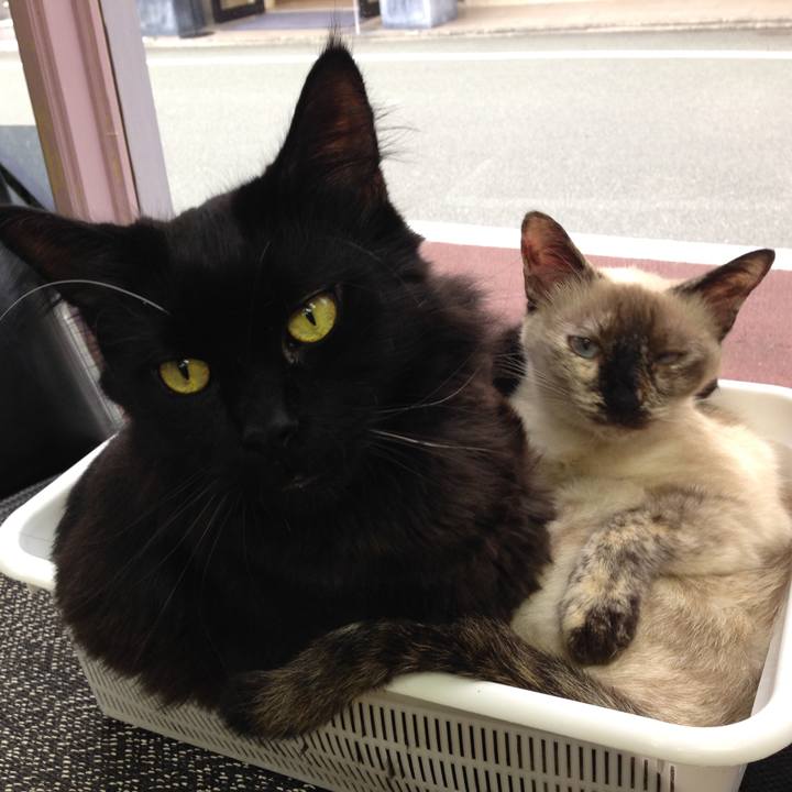 218204d3 3309 4f42 8c0d e024f44dce18